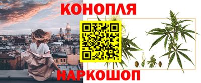 PSILOCYBIN Краснодар