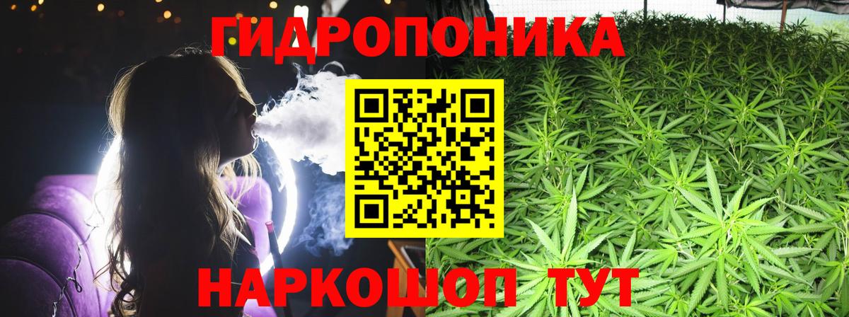 Шишки марихуана AK-47  Шишки марихуана гибрид  Марихуана OG Kush  Коряжма  Вход с VPN  Канабис SATIVA & INDICA 